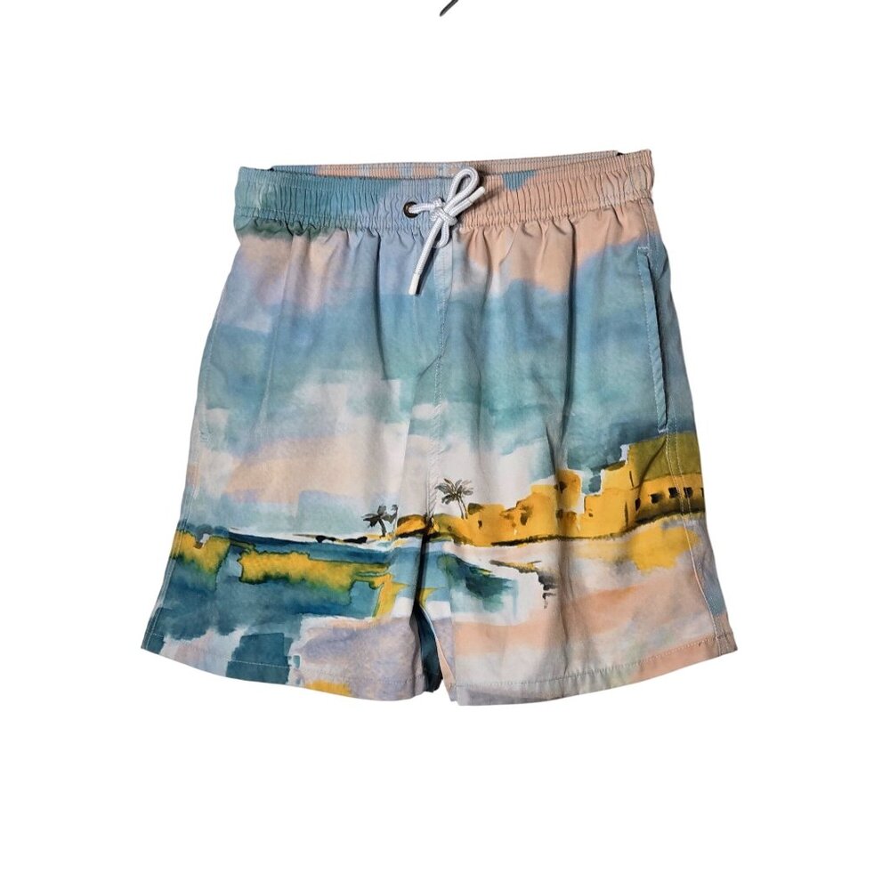 Scene & Heard Boys Swim Trunks Size 14/16 Pool Beach Vacation Landscape Colorful